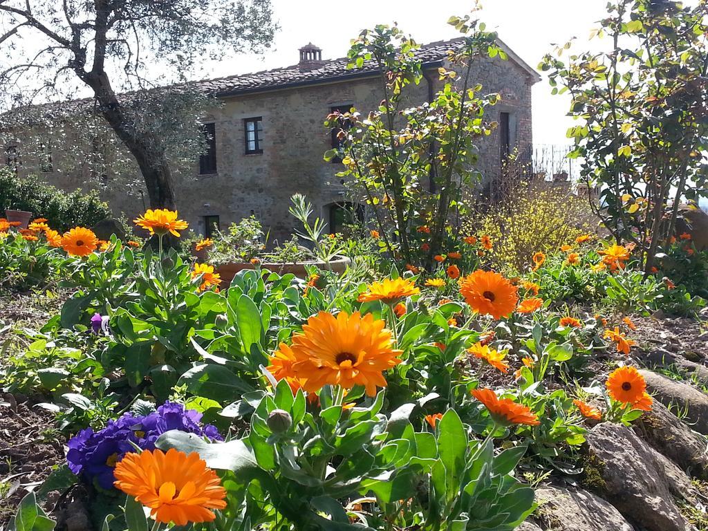 Azienda Agricola Pase Vila Volterra Quarto foto